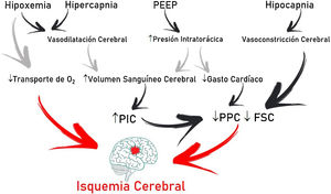 Posibles efectos deletéreos de la ventilación mecánica sobre la fisiología intracraneal.