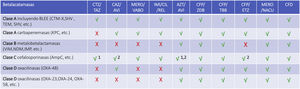 Acción de los nuevos antimicrobianos aislados o en combinación sobre las diferentes betalactamasas. X no activo, √ activo. Actividad variable: 1 para P. aeruginosa, 2 para enterobacterias. ATZ/AVI: aztreonam/avibactam; CAZ/AVI: caftazidime/avibactam; CFD: cefiderocol; CFP/TBB: cefepime/taniborbactam; CFP/ETZ: cefepime /enmetazobactam; CFP/ZDB: cefepime/zidebactam; CTZ/TAZ: ceftolozano/tazobactam; IMI/CIL/REL: Imipenem/cliastatina/relebactam; MERO/NACU: meropenem/nacubactam; MERO/VABO: meropenem/vaborbactam.