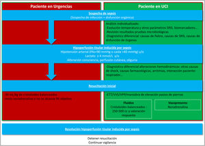 Activación protocolo y resucitación inicial. ETT: ecocardiografía transtorácica; PAS: presión arterial sistólica; SRIS: síndrome de respuesta inflamatoria sistémica; VPP: variación presión de pulso; VVS: variación de volumen sistólico.