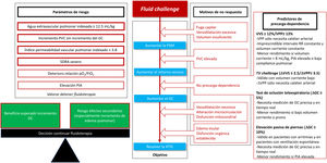 Fluid challenge. GC: gasto cardíaco; HTIS: hipoperfusión tisular inducida por sepsis; PIA: presión intraabdominal; PSM: presión sistémica media; PVC: presión venosa central; SDRA: síndrome de distrés respiratorio agudo; TV: tidal volume; VPP: variación presión de pulso; VVS: variación de volumen sistólico.