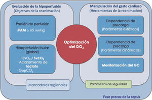 Objetivos e instrumentos de la monitorización hemodinámica de la sepsis. De los diferentes parámetros que se va a monitorizar, es fundamental conocer y entender la naturaleza y la utilidad de cada uno de ellos. Así, hay: a) variables que proporcionan información sobre el estado de perfusión de los tejidos y, por tanto, potenciales “objetivos” del proceso de la reanimación, y b) variables instrumentales que proporcionan información sobre el estado de la funcionalidad cardiovascular en que se encuentra el paciente, en una aproximación de Frank-Starling, y son de utilidad en la toma de decisiones para la manipulación del gasto cardiaco. DO2: transporte global de oxígeno; GapCO2: diferencia arteriovenosa central de dióxido de carbono; GC: gasto cardiaco; PAM: presión arterial media; SvcO2: saturación venosa central de oxígeno; SvO2: saturación venosa mixta de oxígeno.