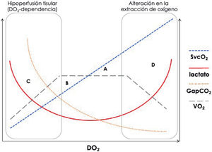 Marcadores metabólicos y VO2/DO2. Se representa la relación entre VO2, DO2 y los principales marcadores generales de perfusión disponibles a pie de cama. Clásicamente, según los valores de SvcO2 y lactato, se definen 4 situaciones principales: a) transporte de oxígeno adecuado para las necesidades metabólicas (lactato y SvcO2 en valores normales); b) déficit de oxígeno (lactato normal, con incremento de la extracción de oxígeno, que produce valores bajos de SvcO2); c) deuda de oxígeno (elevación del lactato con valores bajos de SvcO2), y d) alteración en la extracción de oxígeno (elevación de los valores de lactato y SvcO2)25. Los valores elevados de GapCO2 podrían ser de utilidad en esta última situación al desenmascarar que, a pesar de valores elevados de SvcO2, todavía puede coexistir un flujo sanguíneo bajo que cause el aumento de lactato18. DO2: transporte general de oxígeno; GapCO2: diferencia arteriovenosa central de dióxido de carbono; SvcO2: saturación venosa central de oxígeno; VO2: consumo general de oxígeno.