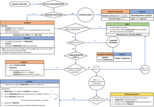 Algoritmo propuesto para analgosedación en pacientes con oxigenación por membrana extracorpórea (ECMO). ANI®: índice de analgesia nocicepción; BIS®: índice bispectral; BNM: bloqueante neuromuscular; BZD: benzodiacepinas; CAM-ICU: Confusion Assessment Method for the Intensive Care Unit; CK: creatincinasa; EEG: electroencefalograma; EMG: electromiograma; ESCID: escala de conductas indicadoras de dolor; EVA: escala visual analógica; EVN: escala verbal numérica; NOL®: nociception level index; RASS: Richmond Agitation Sedation Scale; TOF: train of four; TS: tasa de supresión electroencefalográfica; VM: ventilación mecánica.