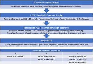 Algoritmo propuesto para la titulación de la presión al final de la espiración (PEEP) guiada por ecografía pulmonar. La puntuación de pérdida de aireación se calcula mediante la suma de los cambios observados en los patrones ecográficos en cada uno de los 12 cuadrantes estudiados. PatrónA: patrón de líneasA. PatrónB1: patrón de líneasB separadas. PatrónB2: patrón de líneasB coalescentes; PatrónC: patrón de condensación pulmonar.