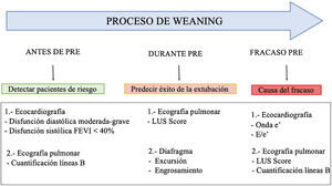 Temporización y hallazgos ecográficos en el proceso de weaning. FEVI: fracción de eyección del ventrículo izquierdo; LUS: Lung Ultrasound Score; PRE: prueba de respiración espontánea.