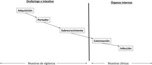 Patogénesis de las infecciones endógenas en el paciente crítico.
