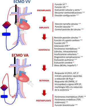 Papel de la ecografía en el paciente crítico con membrana de oxigenación extracorpórea (ECMO). BCIAo: balón de contrapulsación intraaórtico; FEVI: fracción de eyección del ventrículo izquierdo; HTP: hipertensión pulmonar; IT: insuficiencia tricuspídea; IVT: integral velocidad-tiempo; TAPSE: desplazamiento sistólico del plano del anillo tricuspídeo; TEP: tromboembolismo pulmonar; TVP: trombosis venosa profunda; VA: veno-arterial; VD: ventrículo derecho; VI: ventrículo izquierdo; VV: veno-venoso. Asterisco azul: ECMO VV. Asterisco rojo: ECMO VA.