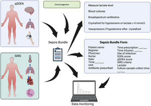 Schematic model of sepsis bundle protocol used in the hospital for screening and data analysis.