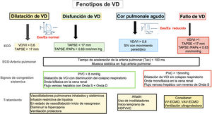 Fenotipos del VD. AP: arteria pulmonar; HDFVVC: hemodialfiltración venovenosa continua; PAPs: presión sistólica de la arteria pulmonar; PVC: presión venosa central; SIV: septo interventricular; Tac: tiempo de aceleración de la arteria pulmonar; TAPSE: excursión sistólica del plano sistólico del anillo tricuspídeo; VCI: vena cava inferior; VD: ventrículo derecho; VI: ventrículo izquierdo; VD/VI: relación de las áreas telediastólicas del ventrículo derecho y del ventrículo izquierdo.
