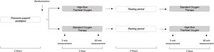 Flow chart of the study design.