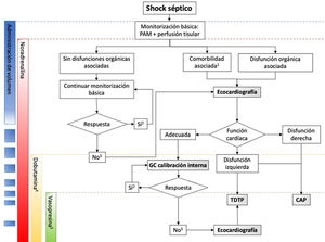 Secuencia de monitorización en función de la respuesta a los tratamientos hemodinámicos. 1: Comorbilidad cardiovascular asociada; 2: PAM ≥ objetivo y sin síntomas ni signos de hipoperfusión; 3: PAM ≤ objetivo y/o síntomas o signos de hipoperfusión; 4: Si se objetiva disfunción sistólica del ventrículo izquierdo; 5: Habiendo descartado la presencia de disfunción cardíaca. CAP: catéter de arteria pulmonar; GC: gasto cardíaco; PAM: presión arterial media; TDTP: termodilución transpulmonar.