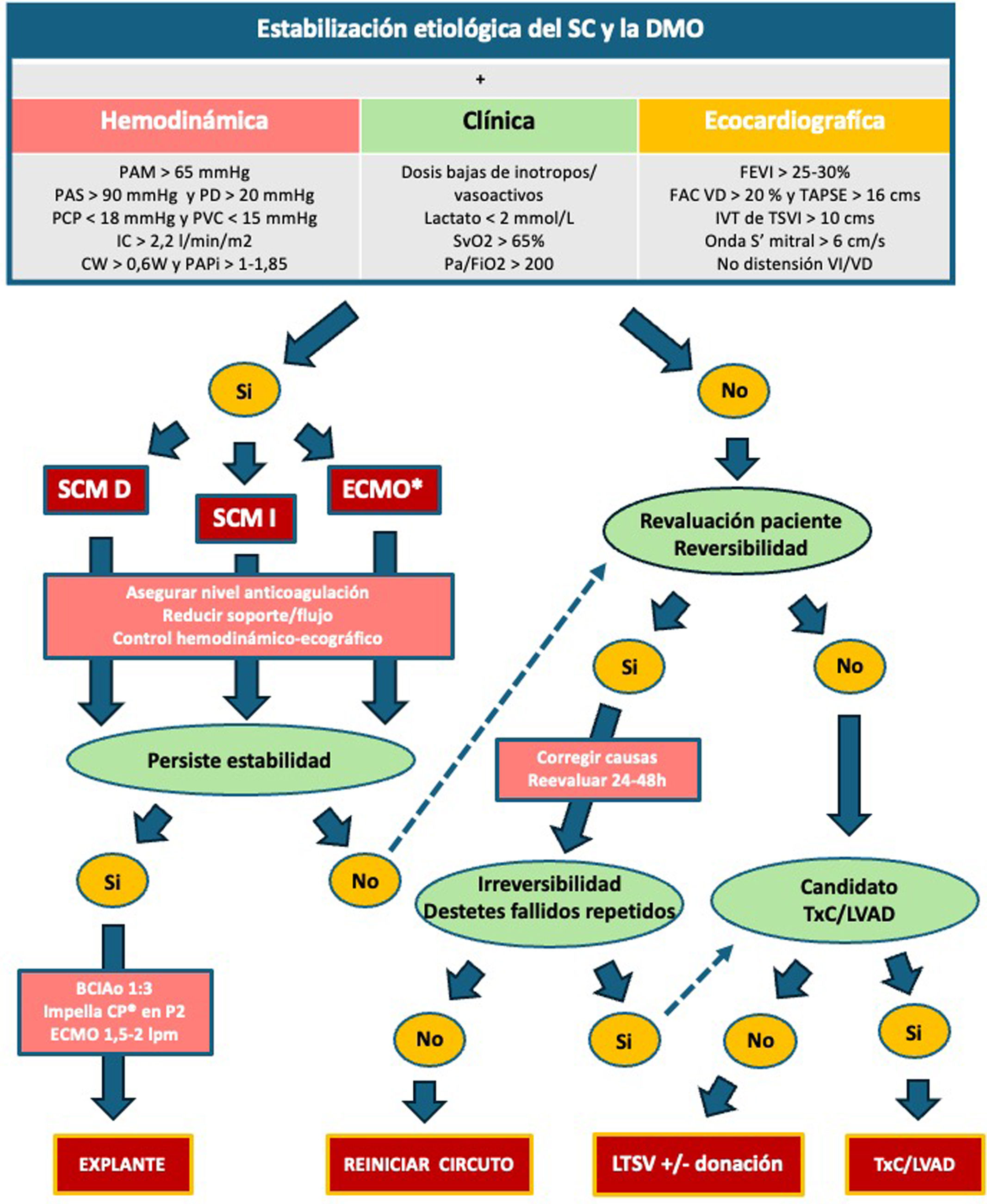 Soporte circulatorio mecánico en el paciente en shock cardiogénico ...