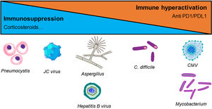 Spectrum of infectious complications associated with ICI treatment.