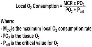 Michaelis‒Menten mathematical model of tissue oxygen consumption.