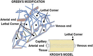 Green functional modifications of the Krogh–Erlang model.