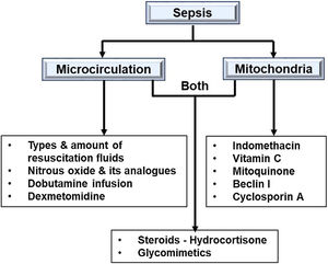 Summary of potential management at microcirculation and mitochondria level.
