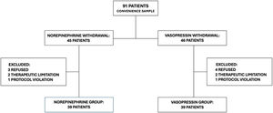 Patient flowchart.