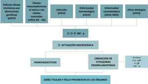 Fisiopatología de la HLH. Fuente: elaboración propia.
