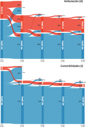 Evolución de cada uno de los componentes de la escala FRAIL-Es en cada momento de la evaluación.