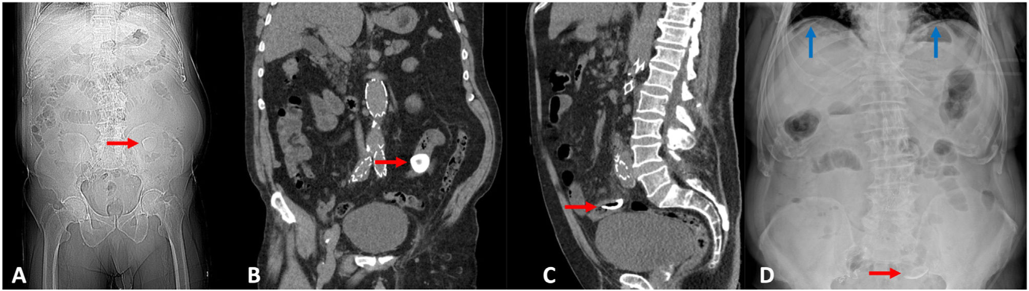 fig0005