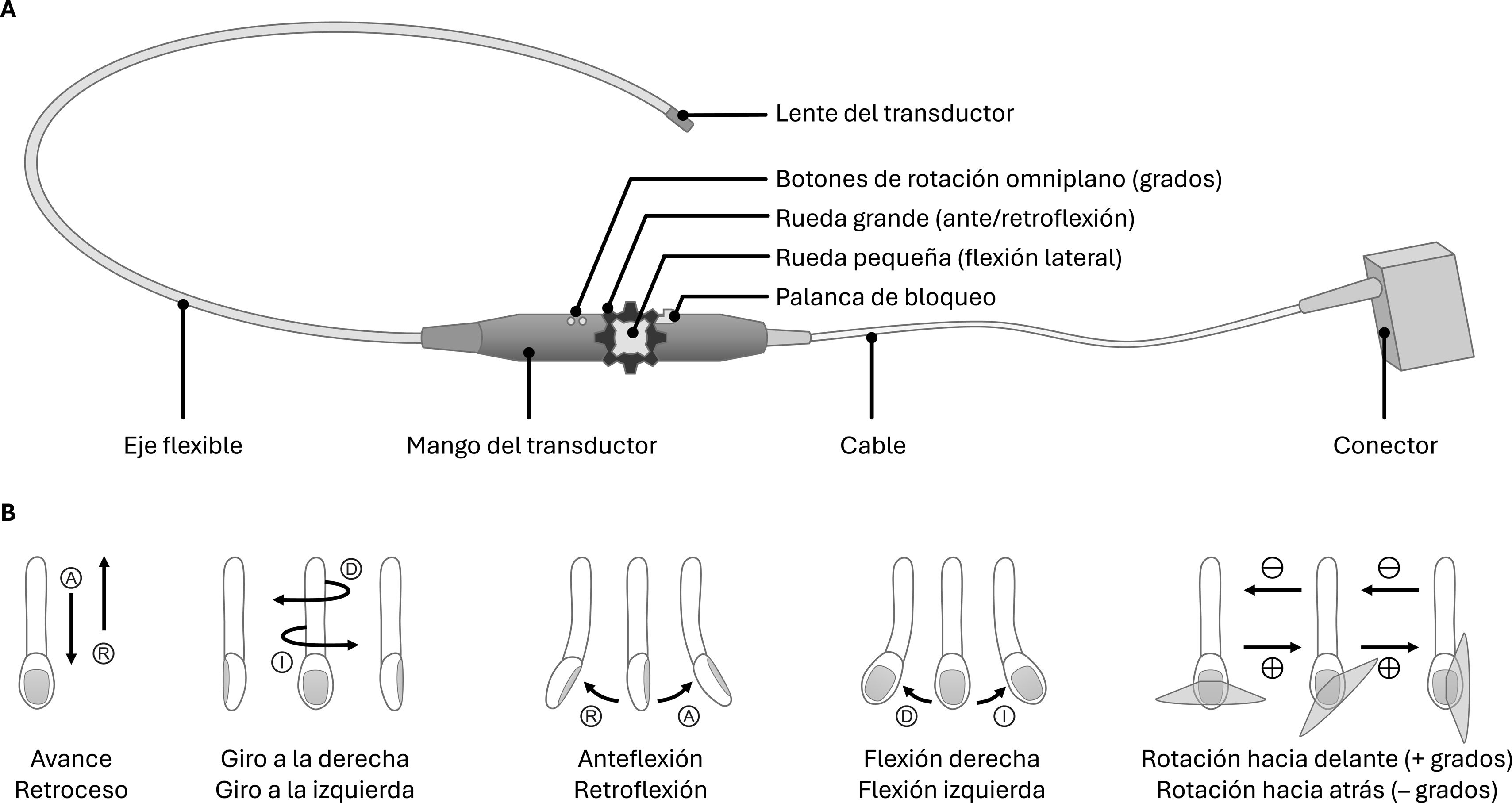 fig0005