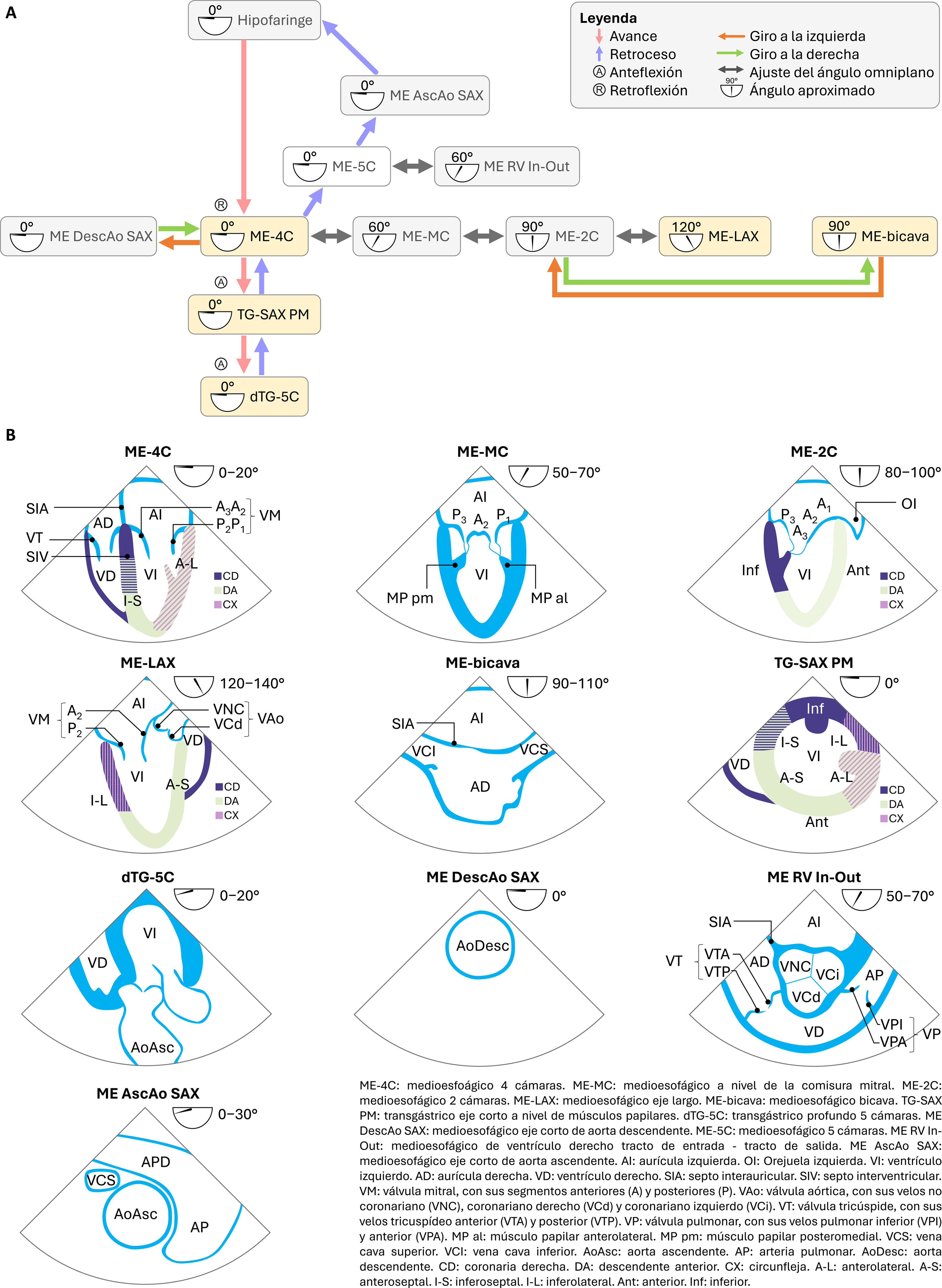 fig0010