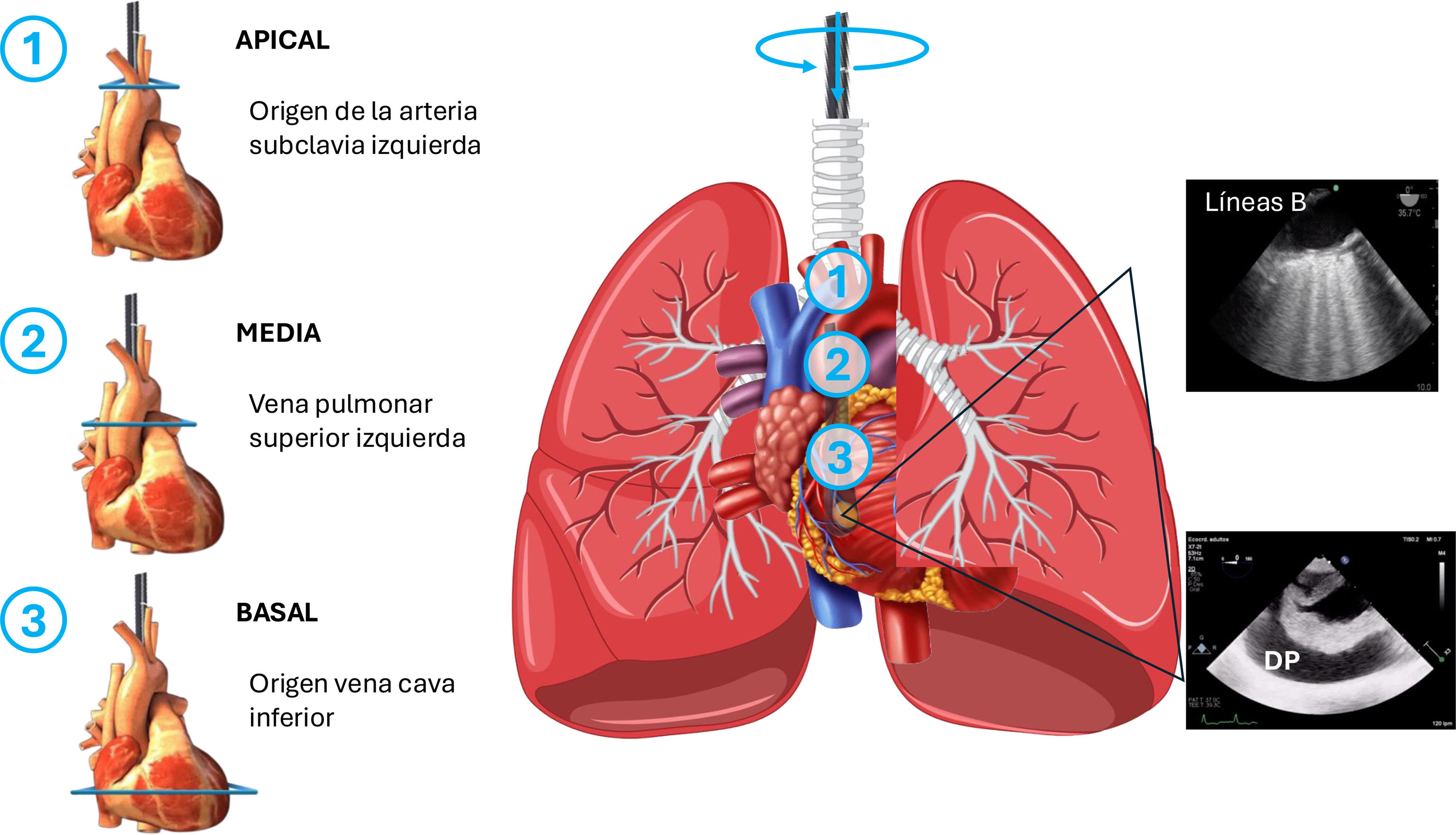 fig0025