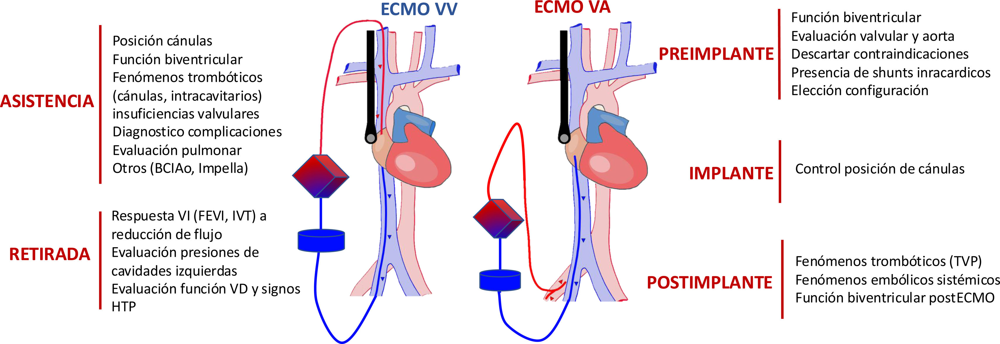 fig0030