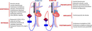 Papel del ETE en el paciente crítico con ECMO.