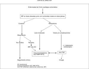 Algoritmo de tratamiento médico de la enfermedad de Crohn esofágica sintomática. GMP: 6-mercaptopurina; AZT: azatioprina, GC: glucocorticoides; IBP: inhibidores de la bomba de protones; MTX: metotrexato; INF: factor de necrosis tumoral.