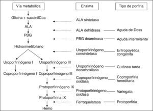 Ruta metabólica de la síntesis del hemo. Se muestran las diferentes enzimas implicadas y el tipo de porfiria que corresponde a cada déficit enzimático. ALA: ácido deltaaminolevulínico; PBG: porfobilinógeno.