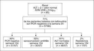 Telbivudina en pacientes HbeAg-positivo. ADN: ácido desoxirribonucléico; ALT: alanino aminotransferasa; PCR: reacción en cadena de la polimerasa; VHB: virus de la hepatitis B.