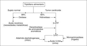 Distorsión del normal metabolismo del triptófano en los tumores carcinoides.