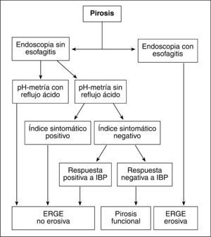Algoritmo de clasificación de los pacientes con pirosis funcional. ERGE: enfermedad por reflujo gastroesofágico; IBP: inhibidores de la bomba de protones.