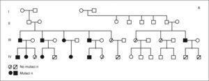 A ) árbol genealógico con las mutaciones detectadas en los miembros de la familia. B) imagen del análisis del fragmento correspondiente a un individuo afectado de esta familia. En azul aparece el resultado obtenido de un control normal, y en rojo el correspondiente al ADN del caso de estudio. Las flechas señalan los 2 fragmentos que mostraron amplificación para uno solo de los alelos y, por tanto, deleción de esas regiones.