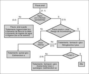 Algoritmo del tratamiento de los pacientes con fisura anal.