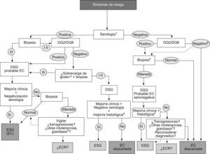 Protocolo de uso de los marcadores de laboratorio en el diagnóstico de la enfermedad celíaca. 1Serología: anticuerpos anti-endomisio o antitransglutaminasa IgA (o IgG en déficit de IgA). 2I, II y III: grados de la clasificación de Marsh, alteración de la mucosa intestinal. EC: enfermedad celíaca; ECR: enfermedad celíaca refractaria; ESG: enteropatía sensible al gluten; DSG: dieta sin gluten.