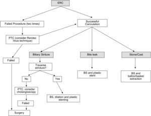 Algorithm of the management of biliary complications after liver transplantation with endoscopic retrograde cholangiography (ERC). BS: biliary sphincterotomy, PTC: percutaneous transhepatic cholangiography.