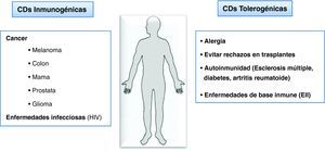 Aplicaciones potenciales de las células dendríticas en medicina.