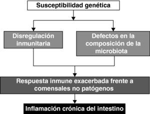 La reactividad anormal del sistema inmune frente a las bacterias del intestino puede explicarse por la confluencia de susceptibilidad genética (NOD2, IBD15, etc.) con factores ambientales (sociedades ‘occidentalizadas’ en su desarrollo económico-social, higiene, antiinflamatorios no esteroideos, etc). Estos factores pueden ser causa de defectos en la regulación del sistema inmune y en la colonización del intestino que condicionrían una respuesta inmune inapropiada frente a elementos no nocivos de la flora.