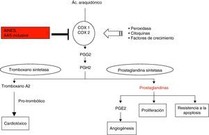 Efecto de la aspirina en la ciclooxigenasa (COX). Los AINE y entre ellos la aspirina, inhiben tanto la COX-1 como la COX-2, y con ello la síntesis de la prostaglandina. La prostaglandina se ha asociado con la angiogénesis, proliferación y migración celular y con la resistencia a la apoptosis. PGG2: prostaglandina G2; PGH2; prostaglandina H2; PGE2; prostaglandina E2.