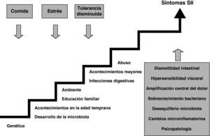 Representación esquemática que integra los distintos mecanismos etiopatogénicos con los factores que pueden influir en ellos y que favorecen el desarrollo del síndrome del intestino irritable.