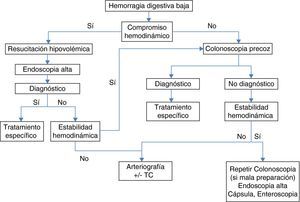 Algoritmo diagnóstico y terapéutico de la hemorragia digestiva baja.