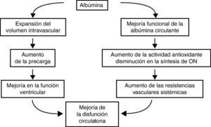 Efectos de la administración intravenosa de albúmina sobre la hemodinámica sistémica en pacientes cirróticos. ON: óxido nítrico.