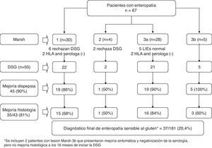 Respuesta a una dieta sin gluten (DSG) y diagnóstico final en 67 pacientes con dispepsia tipo distrés posprandial y enteropatía en la biopsia duodenal42.