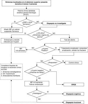 Algoritmo de actuación propuesto para el manejo del paciente con dispepsia no investigada en nuestro medio1. En línea discontinua, actuación propuesta para descartar una ESG en el paciente con dispepsia y endoscopia negativa. ATGT: anticuerpos antitransglutaminasa tisular; ESG: enteropatía sensible al gluten; IBP: inhibidores de la bomba protones.