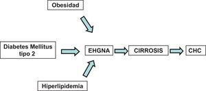 La DM tipo 2 puede causar enfermedad hepática grasa no alcohólica (EHGNA) la cual podría progresar a cirrosis y carcinoma hepatocelular (CHC).