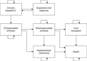 Markov pharmacoeconomic model for chronic hepatitis C.
