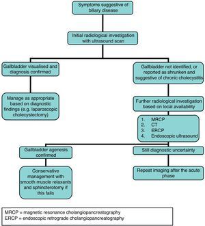 Suggested decisional tree for the investigation of suspected gallbladder agenesis.