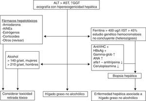 Diagnóstico del HGNA. AINE: antiinflamatorios no esteroideos; ALT: alanino aminotransferasa; ANA: anticuerpos antinucleares; AST: aspartato aminotransferasa; GGT: gamma glutamiltransferasa; HBsAg: antígeno de superficie de la hepatitis B; HGNA: hígado graso no alcohólico; IST: índice de saturación de la transferrina; VHC: virus de la hepatitis C.